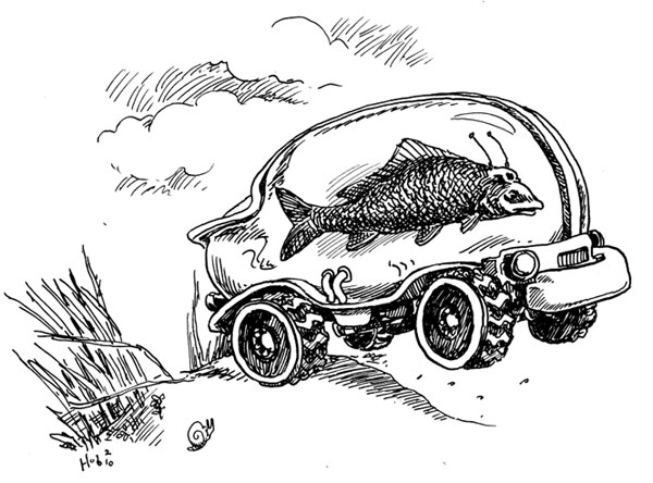 aggressive%20carp%20in%20dune%20buggy